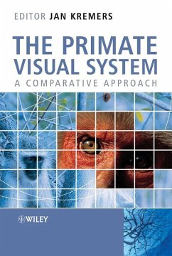 The Primate Visual System (eBook, PDF)