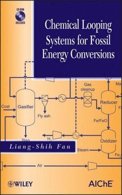 Chemical Looping Systems for Fossil Energy Conversions (eBook, PDF) - Fan, Liang-Shih