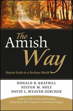 The Amish Way (eBook, PDF) - Kraybill, Donald B.; Nolt, Steven M.; Weaver-Zercher, David L.
