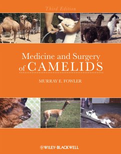 Medicine and Surgery of Camelids (eBook, ePUB) - Fowler, Murray E.