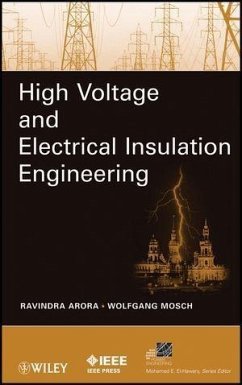 Cover High Voltage and Electrical Insulation Engineering (eBook, PDF)