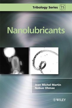 Nanolubricants (eBook, PDF) - Martin, Jean Michel; Ohmae, Nobuo