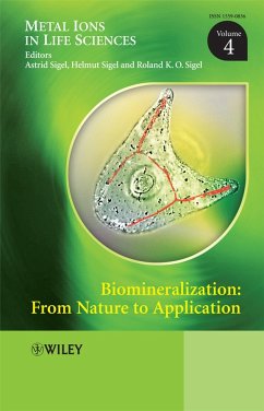 Biomineralization (eBook, PDF)