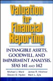 Valuation for Financial Reporting (eBook, PDF)