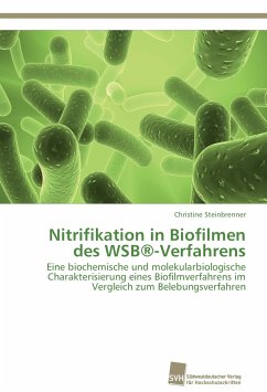 Nitrifikation in Biofilmen des WSB®-Verfahrens - Steinbrenner, Christine