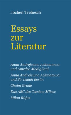 Essays zur Literatur