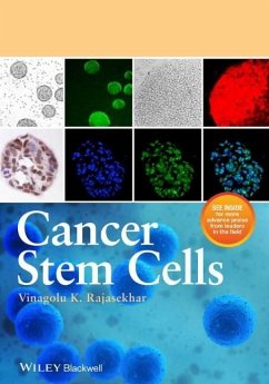 Cancer Stem Cells - Rajasekhar, Vinagolu K.