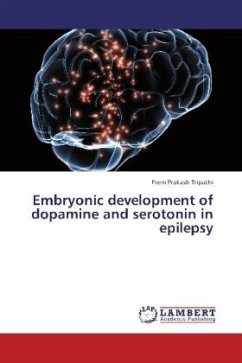 Embryonic development of dopamine and serotonin in epilepsy