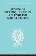 Juvenile Delinquency in an English... - Bild 1