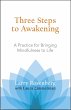 Three Steps to Awakening - Bild 1