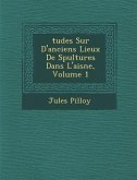 Tudes Sur D'Anciens Lieux de S Pultures Dans L'Aisne, Volume 1