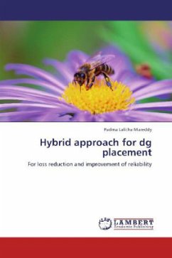 Hybrid approach for dg placement