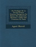 Un Prodigio De La Divina Gracia: Oracion Panegirica En Honor Del Anacoreta, Director Y Padre San Francisco De Paula
