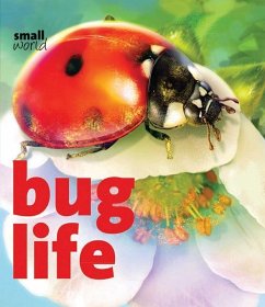 Bug Life - Evans, Lynette