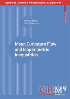 Mean Curvature Flow and Isoperimetric Inequalities (eBook, PDF) - Ritoré, Manuel; Sinestrari, Carlo