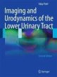 Imaging and Urodynamics of the Lower... - Bild 1