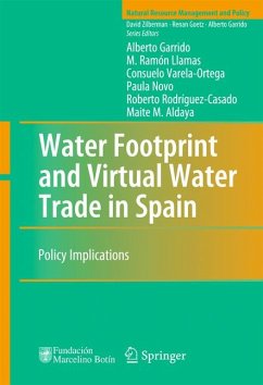 Water Footprint and Virtual Water Trade in Spain (eBook, PDF) - Garrido, Alberto; Llamas, M. Ramón; Varela-Ortega, Consuelo; Novo, Paula; Rodríguez-Casado, Roberto; Aldaya, Maite M.