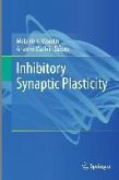 Inhibitory Synaptic Plasticity (eBook, PDF)