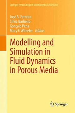 Modelling and Simulation in Fluid Dynamics in Porous Media (eBook, PDF)