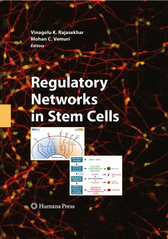 Regulatory Networks in Stem Cells (eBook, PDF)