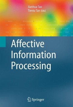 Affective Information Processing (eBook, PDF)