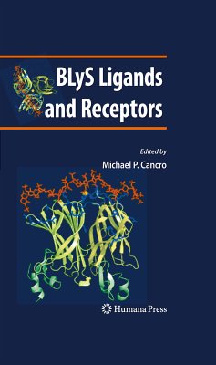 BLyS Ligands and Receptors (eBook, PDF)