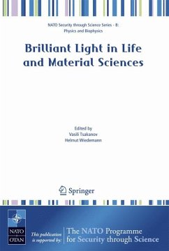 Brilliant Light in Life and Material Sciences (eBook, PDF)
