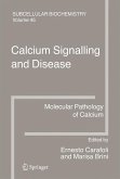 Calcium Signalling and Disease (eBook, PDF)