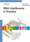 RNA Interference in Practice (eBook, PDF)