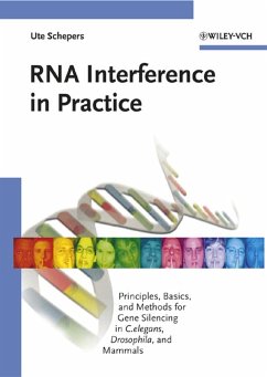 RNA Interference in Practice (eBook, PDF) - Schepers, Ute