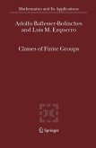 Classes of Finite Groups (eBook, PDF)