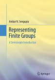 Representing Finite Groups (eBook, PDF)