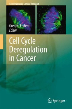 Cell Cycle Deregulation in Cancer (eBook, PDF)