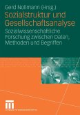 Sozialstruktur und Gesellschaftsanalyse (eBook, PDF)