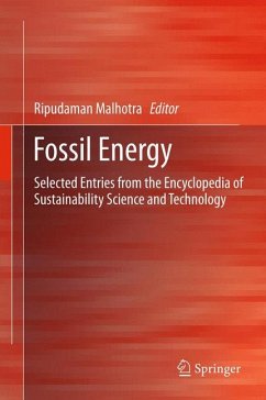 Fossil Energy (eBook, PDF)