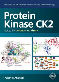 Protein Kinase CK2 (eBook, PDF) - Pinna, Lorenzo A.