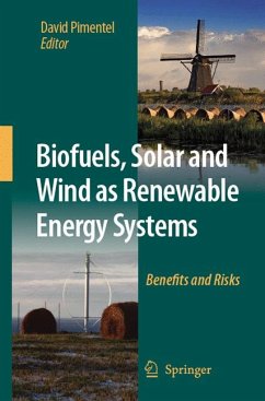 Biofuels, Solar and Wind as Renewable Energy Systems (eBook, PDF)