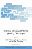 &quote;Sprites, Elves and Intense Lightning Discharges&quote; (eBook, PDF)