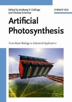 Artificial Photosynthesis (eBook, PDF)