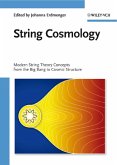 String Cosmology (eBook, PDF)