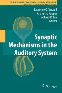 Synaptic Mechanisms in the Auditory System (eBook, PDF)