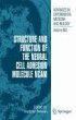 Structure and Function of the Neural... - Bild 1