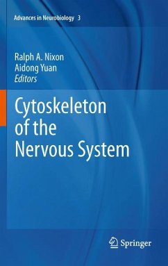 Cytoskeleton of the Nervous System (eBook, PDF)