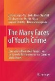 The Many Faces of Youth Crime (eBook, PDF)