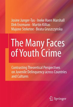 The Many Faces of Youth Crime (eBook, PDF) - Junger-Tas, Josine; Marshall, Ineke Haen; Enzmann, Dirk; Killias, Martin; Steketee, Majone; Gruszczynska, Beata