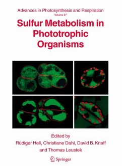 Sulfur Metabolism in Phototrophic Organisms (eBook, PDF)