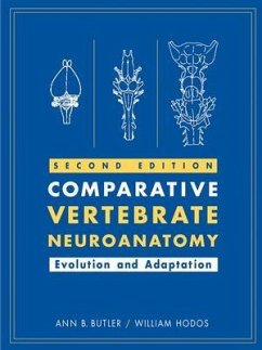 Comparative Vertebrate Neuroanatomy (eBook, PDF) - Butler, Ann B.; Hodos, William