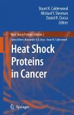 Heat Shock Proteins in Cancer (eBook, PDF)