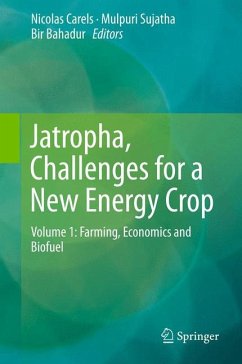 Jatropha, Challenges for a New Energy Crop (eBook, PDF)