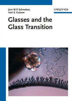 Glasses and the Glass Transition (eBook, ePUB) - Schmelzer, Jürn W. P.; Gutzow, Ivan S.; Mazurin, Oleg V.; Todorova, Snejana V.; Petroff, Boris B.; Priven, Alexander I.